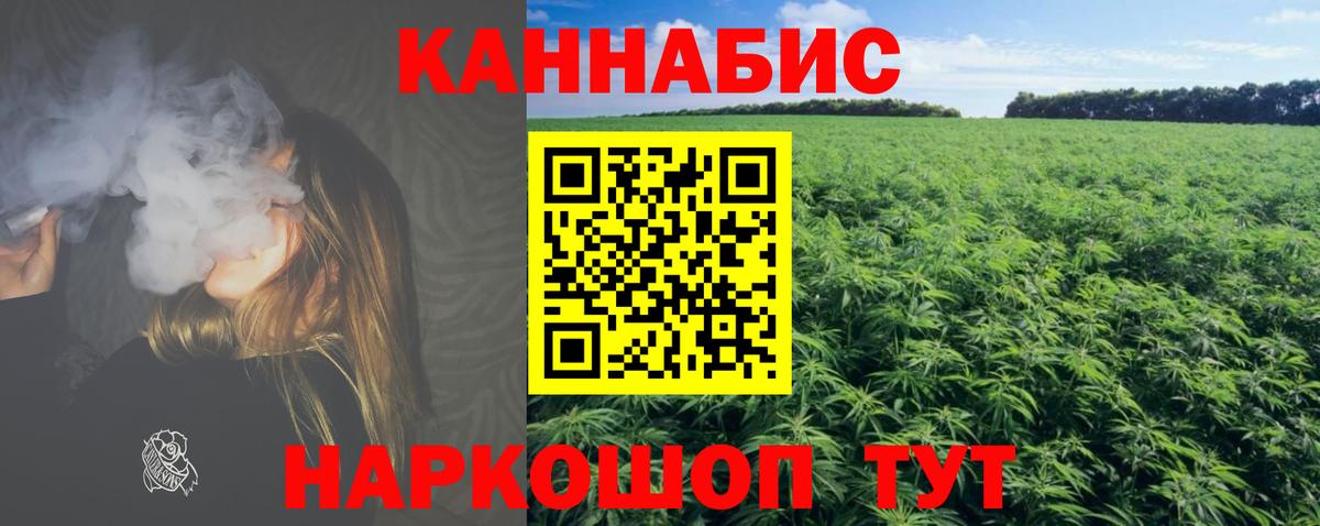 Бошки марихуана ГИДРОПОН Тосно